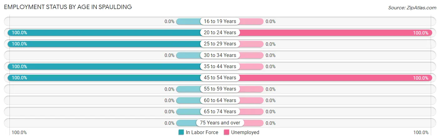 Employment Status by Age in Spaulding