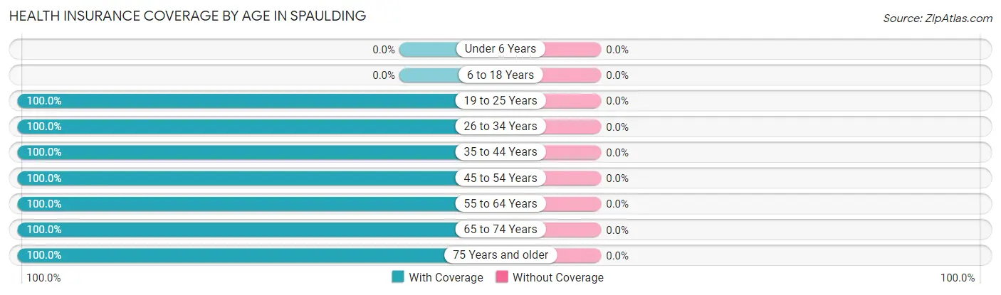 Health Insurance Coverage by Age in Spaulding