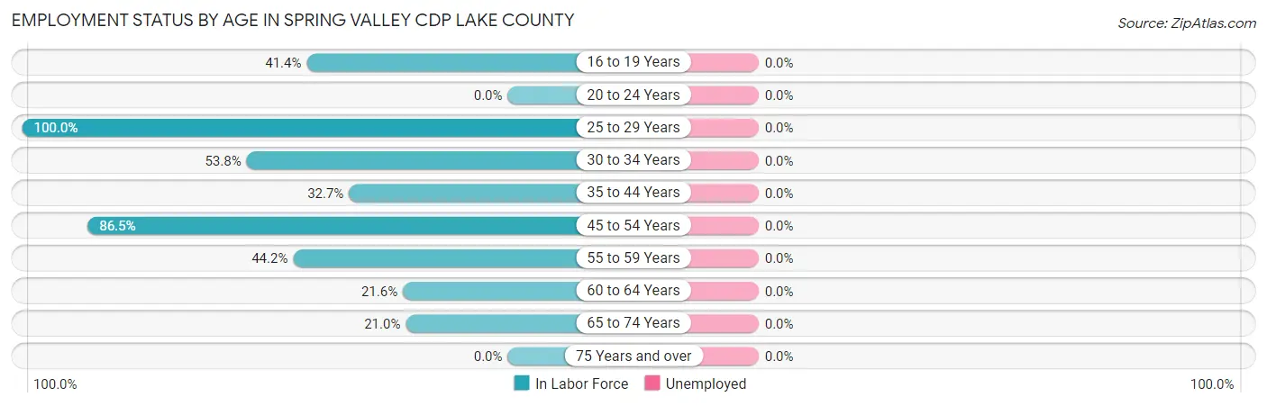 Employment Status by Age in Spring Valley CDP Lake County