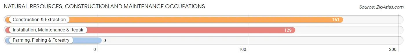 Natural Resources, Construction and Maintenance Occupations in Spring Valley Lake