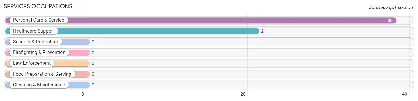 Services Occupations in Springville