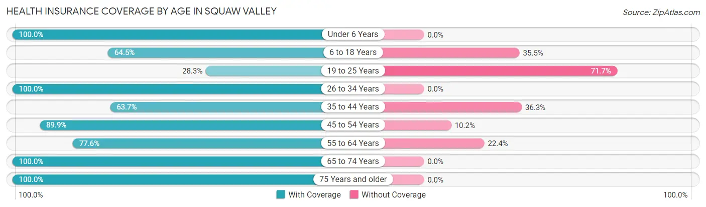 Health Insurance Coverage by Age in Squaw Valley