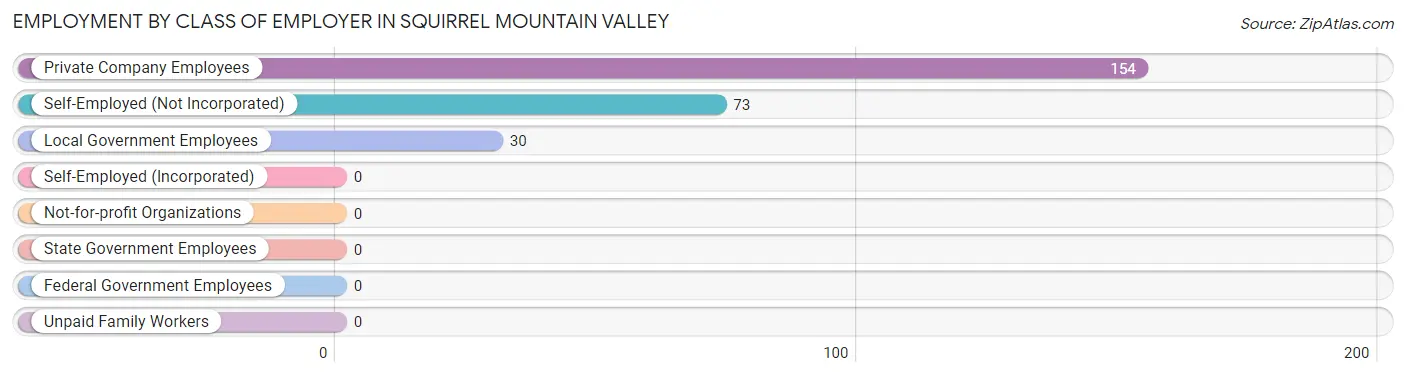 Employment by Class of Employer in Squirrel Mountain Valley