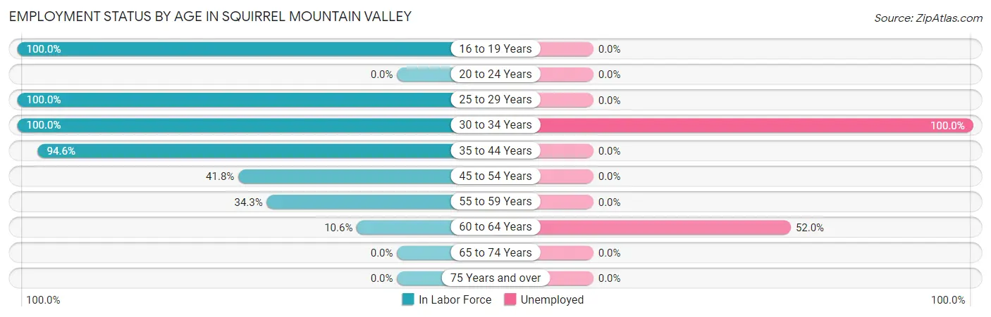 Employment Status by Age in Squirrel Mountain Valley