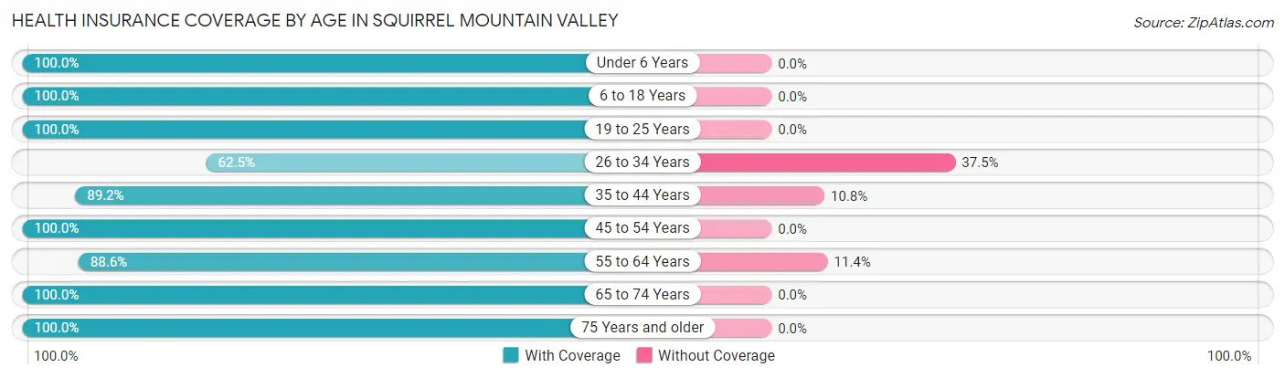 Health Insurance Coverage by Age in Squirrel Mountain Valley