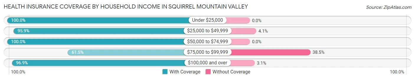 Health Insurance Coverage by Household Income in Squirrel Mountain Valley