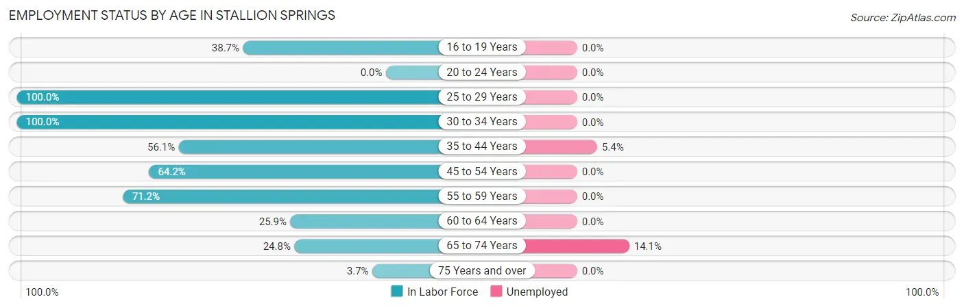 Employment Status by Age in Stallion Springs