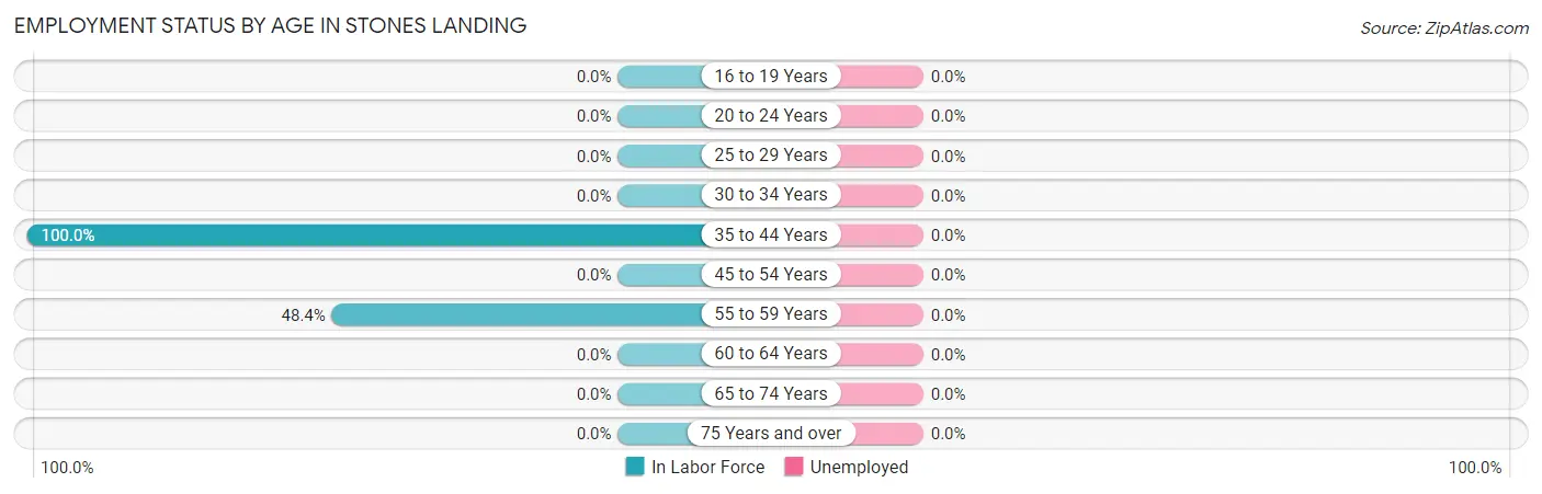 Employment Status by Age in Stones Landing