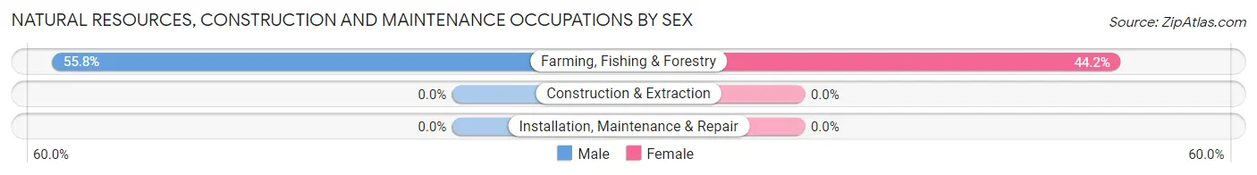 Natural Resources, Construction and Maintenance Occupations by Sex in Stratford