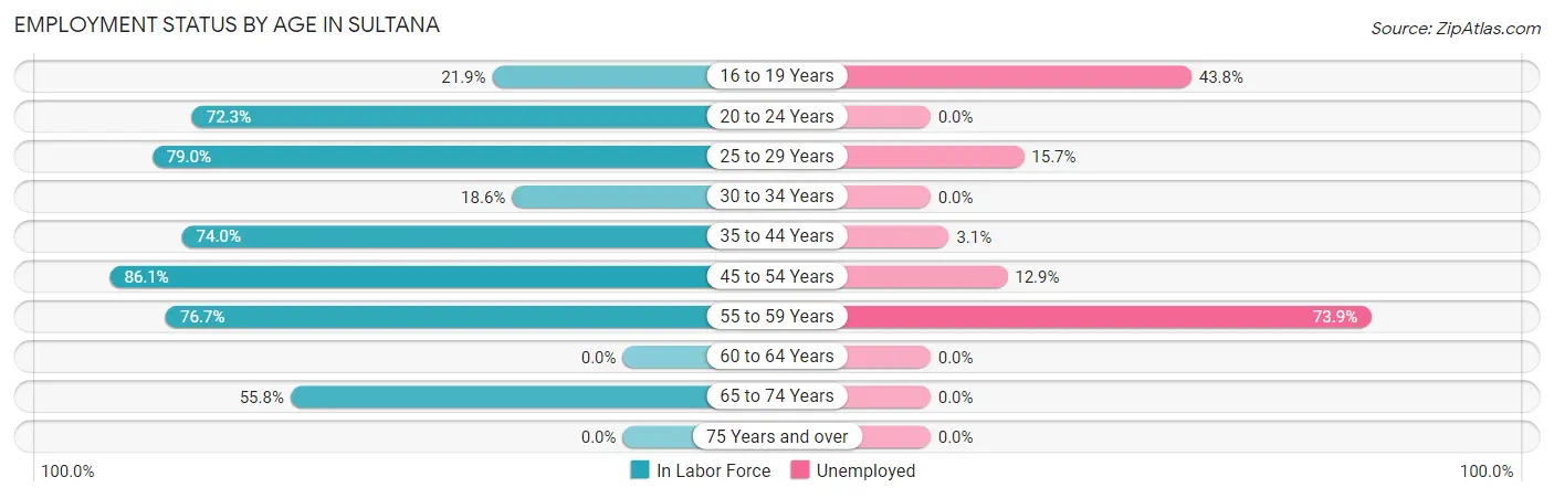 Employment Status by Age in Sultana