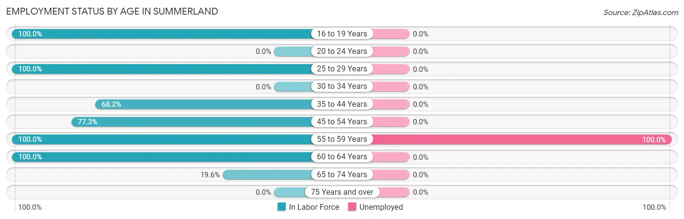 Employment Status by Age in Summerland