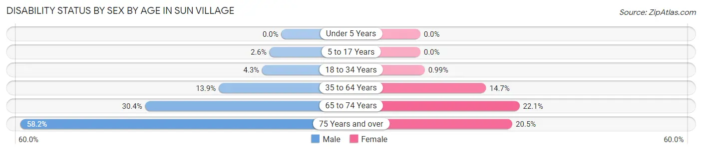 Disability Status by Sex by Age in Sun Village