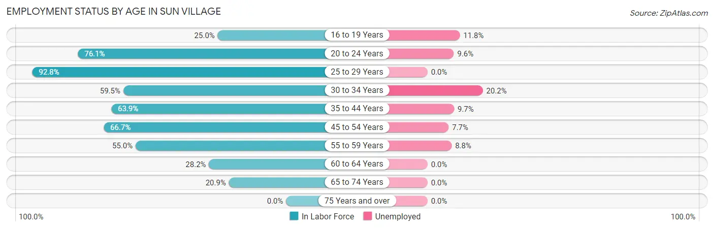 Employment Status by Age in Sun Village