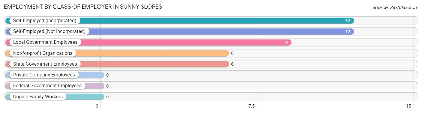 Employment by Class of Employer in Sunny Slopes