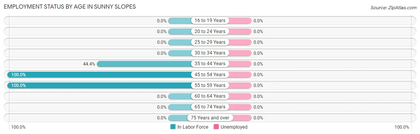 Employment Status by Age in Sunny Slopes