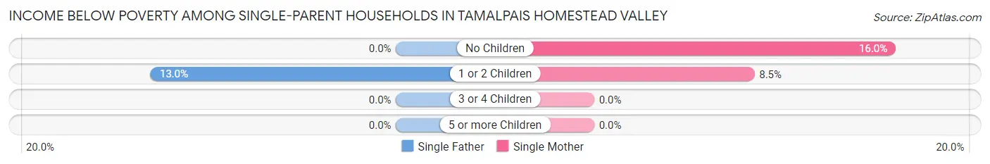 Income Below Poverty Among Single-Parent Households in Tamalpais Homestead Valley