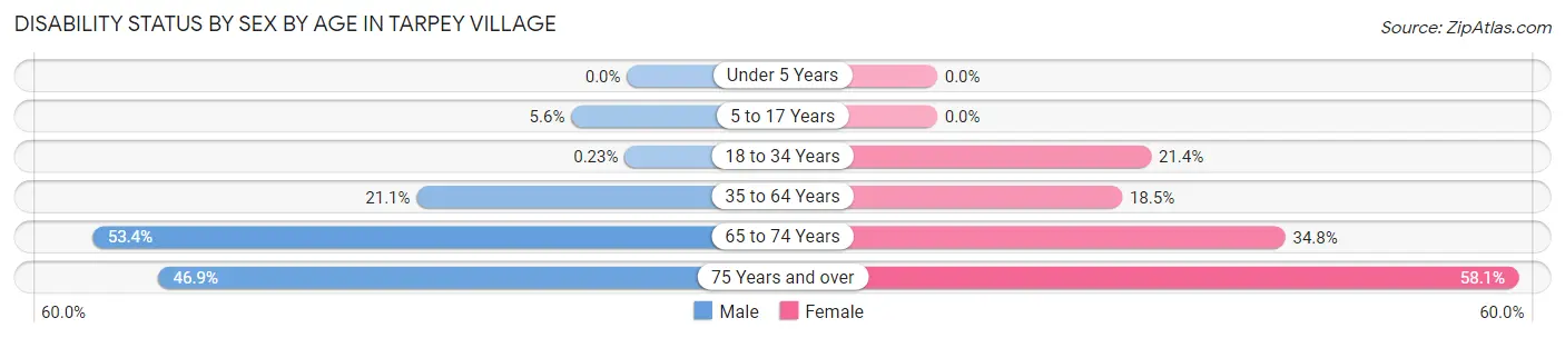 Disability Status by Sex by Age in Tarpey Village