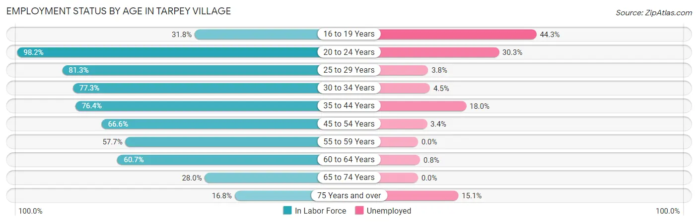 Employment Status by Age in Tarpey Village