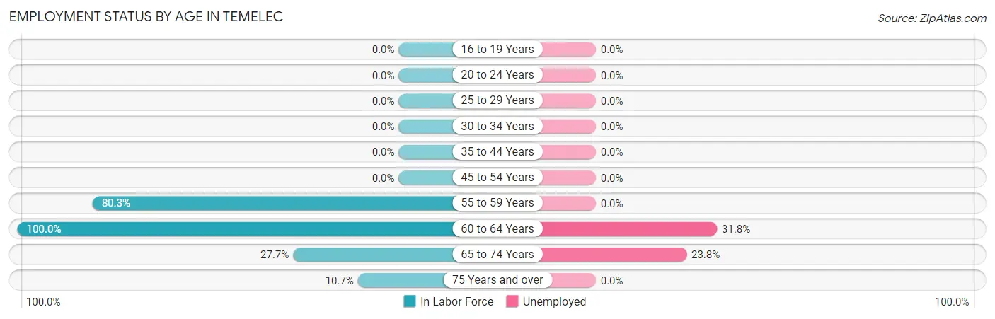 Employment Status by Age in Temelec