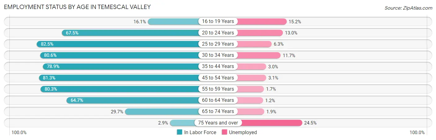 Employment Status by Age in Temescal Valley