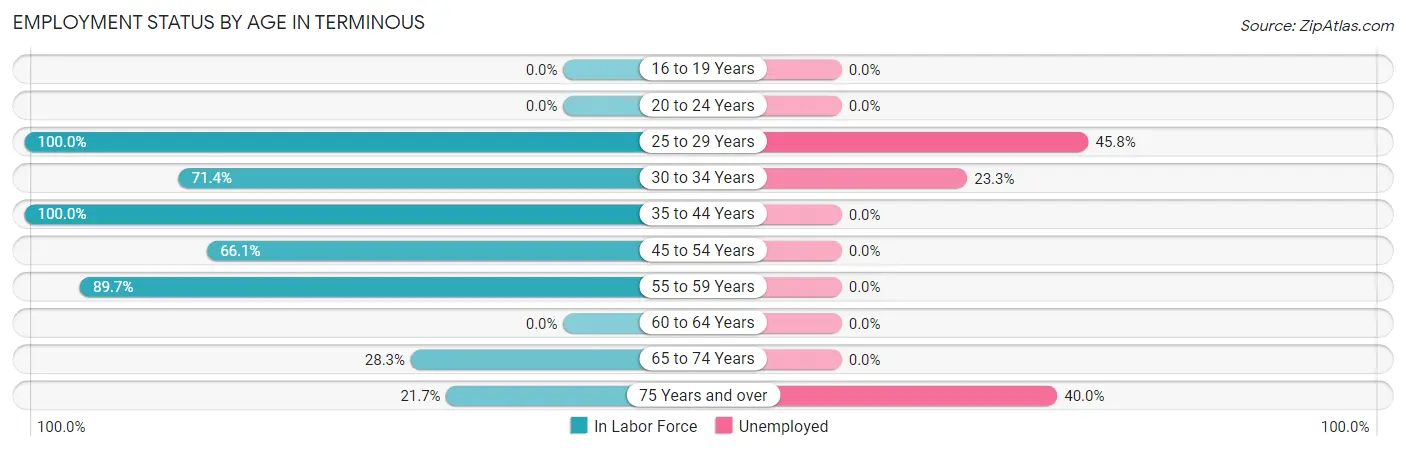 Employment Status by Age in Terminous