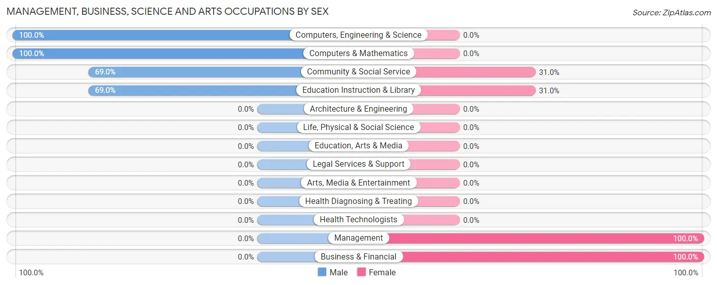 Management, Business, Science and Arts Occupations by Sex in Terminous