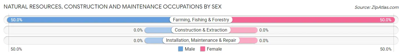 Natural Resources, Construction and Maintenance Occupations by Sex in Teviston