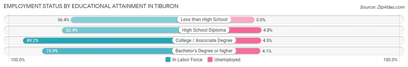 Employment Status by Educational Attainment in Tiburon