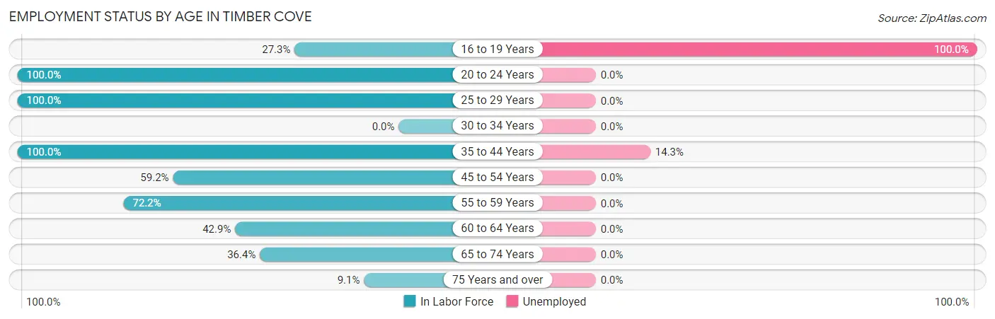 Employment Status by Age in Timber Cove