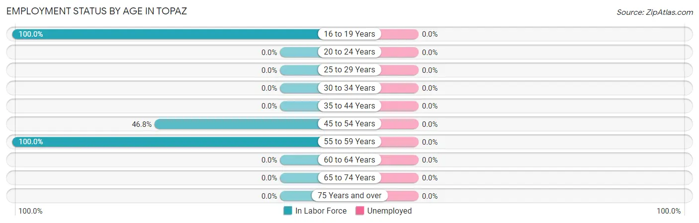 Employment Status by Age in Topaz