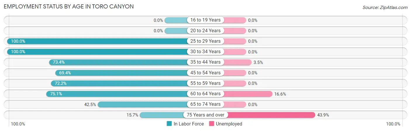 Employment Status by Age in Toro Canyon