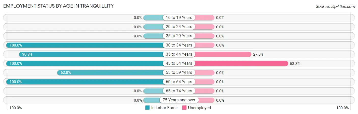 Employment Status by Age in Tranquillity