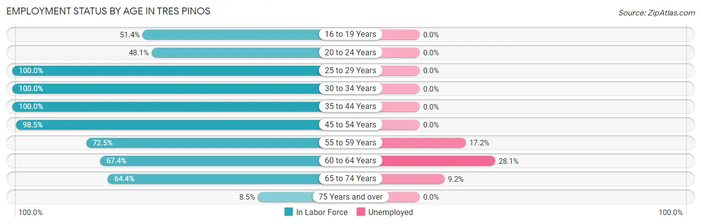 Employment Status by Age in Tres Pinos