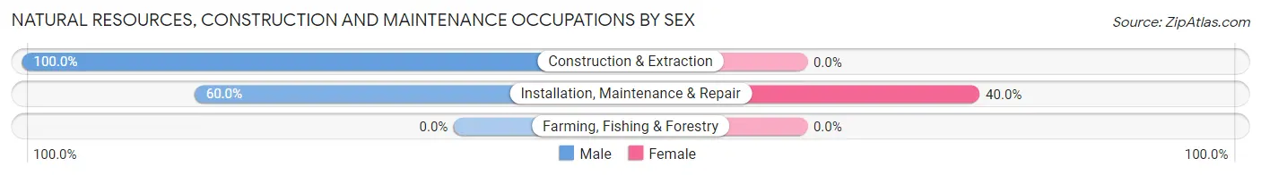 Natural Resources, Construction and Maintenance Occupations by Sex in Tres Pinos