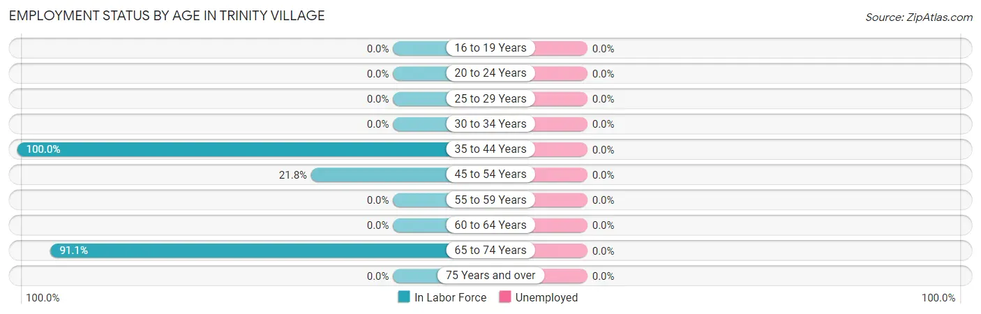 Employment Status by Age in Trinity Village