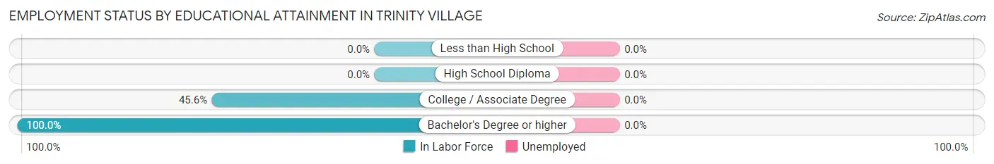 Employment Status by Educational Attainment in Trinity Village