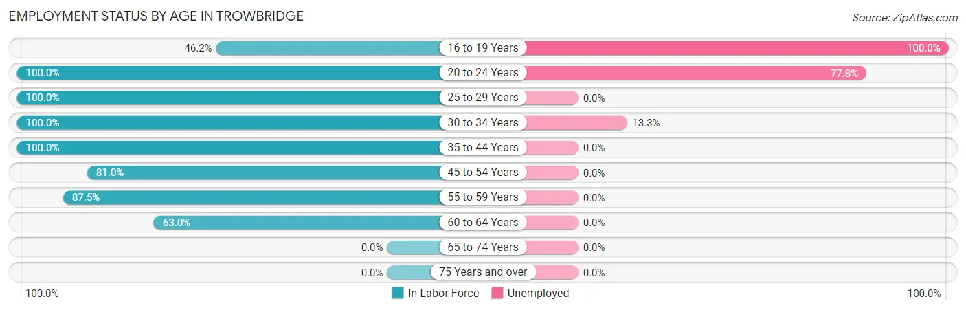 Employment Status by Age in Trowbridge