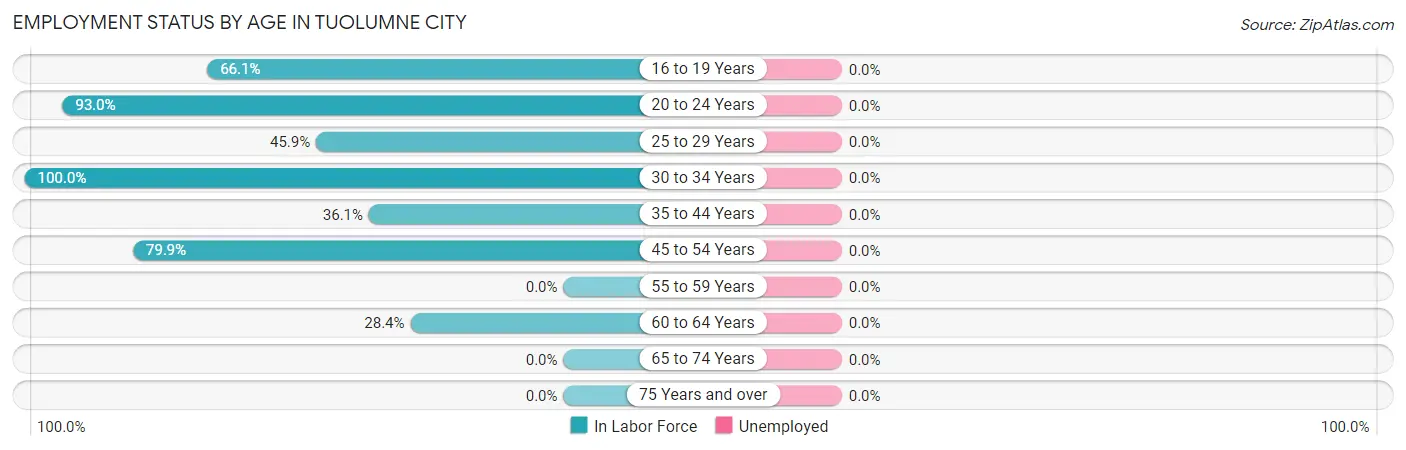 Employment Status by Age in Tuolumne City