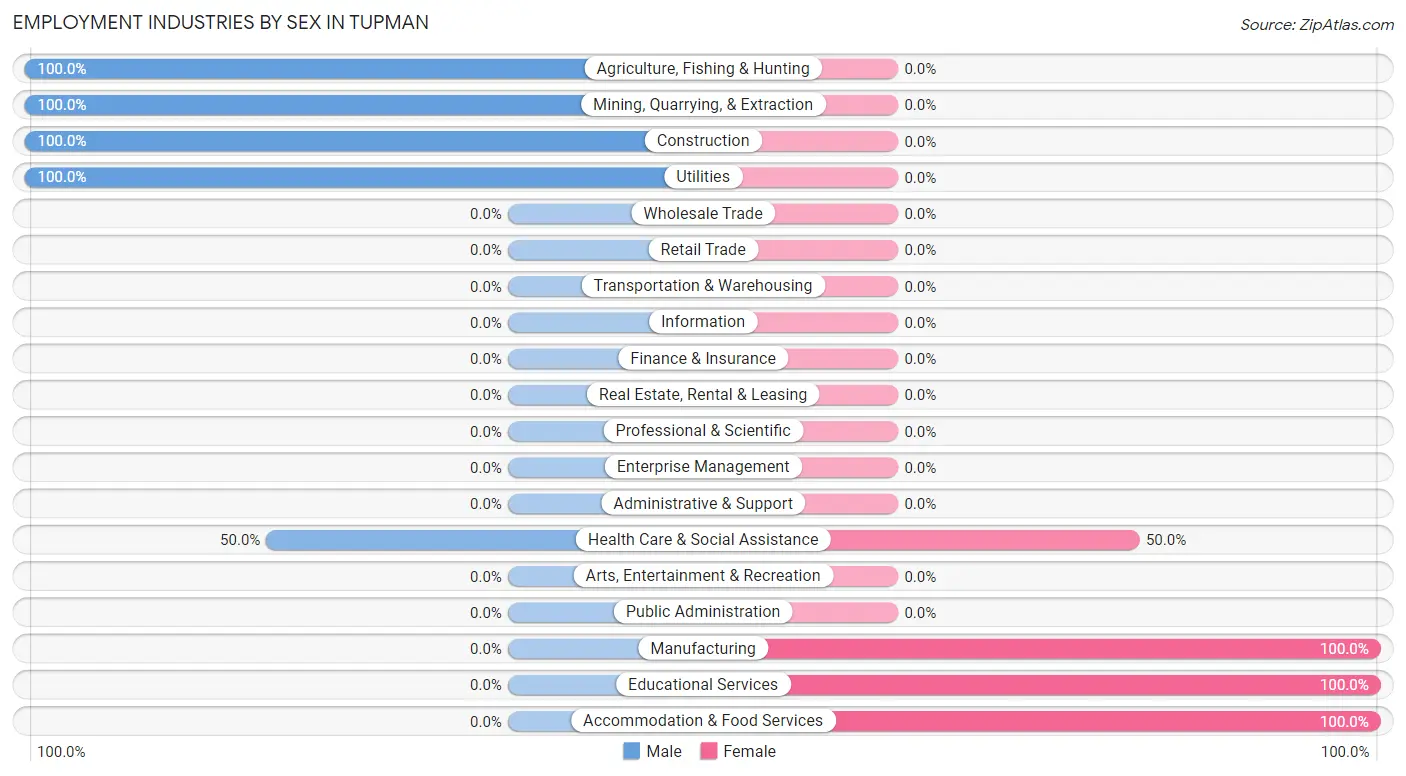 Employment Industries by Sex in Tupman