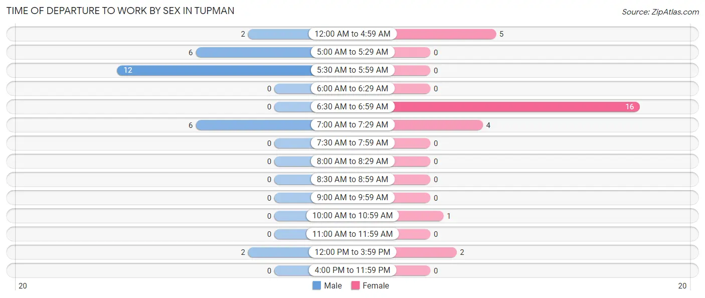 Time of Departure to Work by Sex in Tupman