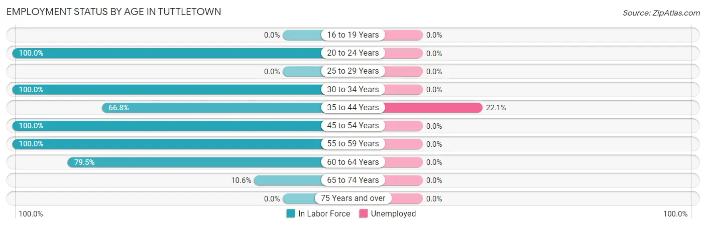 Employment Status by Age in Tuttletown