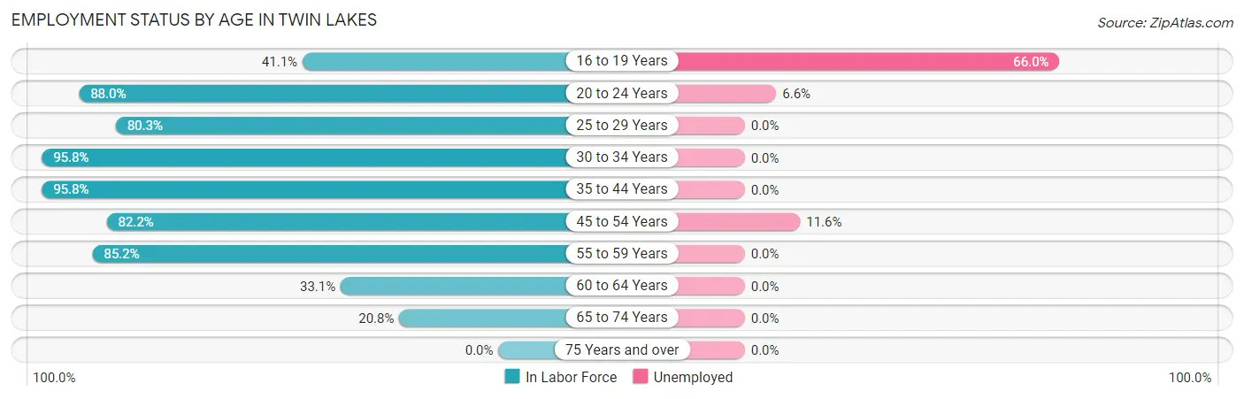 Employment Status by Age in Twin Lakes
