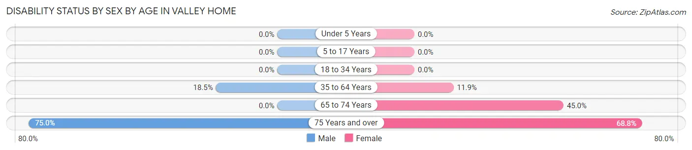 Disability Status by Sex by Age in Valley Home