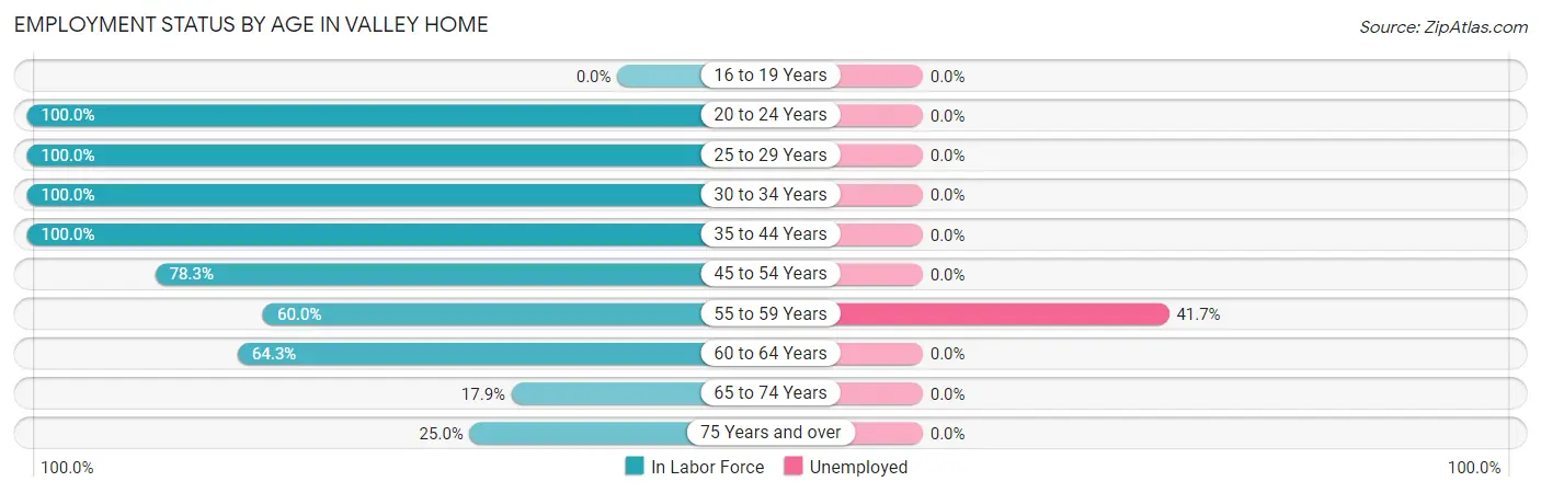 Employment Status by Age in Valley Home