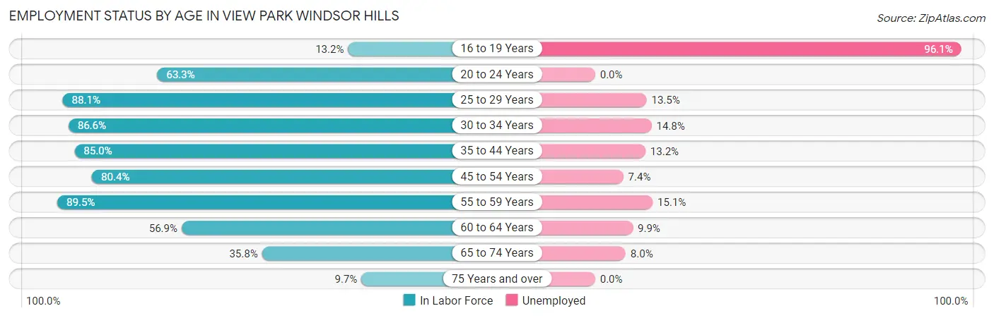 Employment Status by Age in View Park Windsor Hills