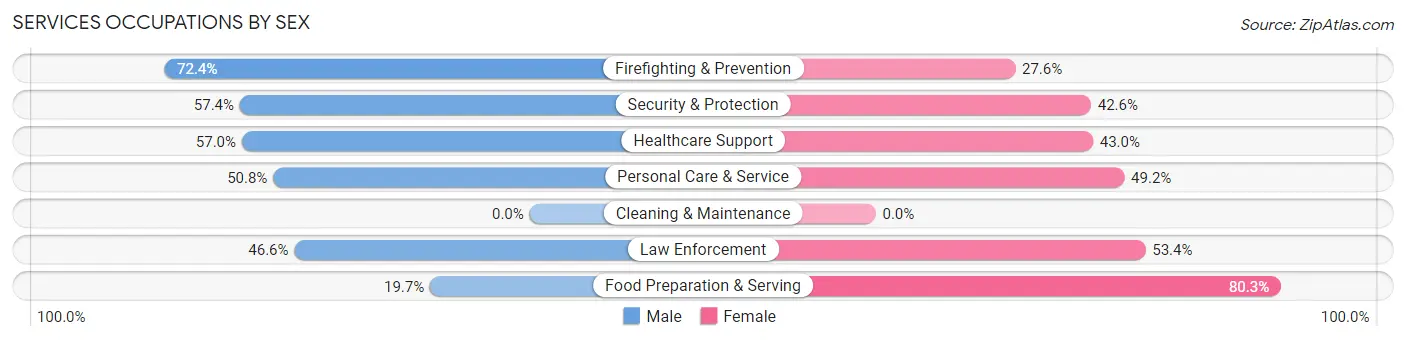 Services Occupations by Sex in View Park Windsor Hills