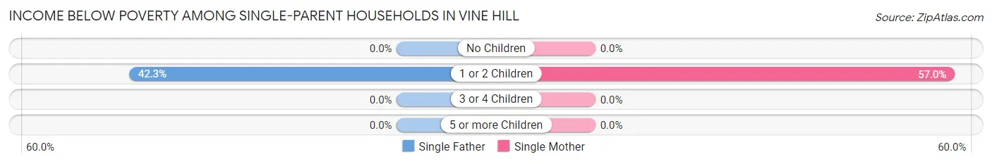 Income Below Poverty Among Single-Parent Households in Vine Hill
