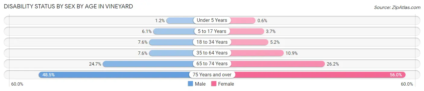 Disability Status by Sex by Age in Vineyard