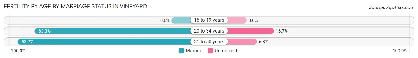 Female Fertility by Age by Marriage Status in Vineyard
