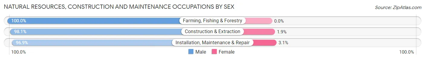 Natural Resources, Construction and Maintenance Occupations by Sex in Vineyard
